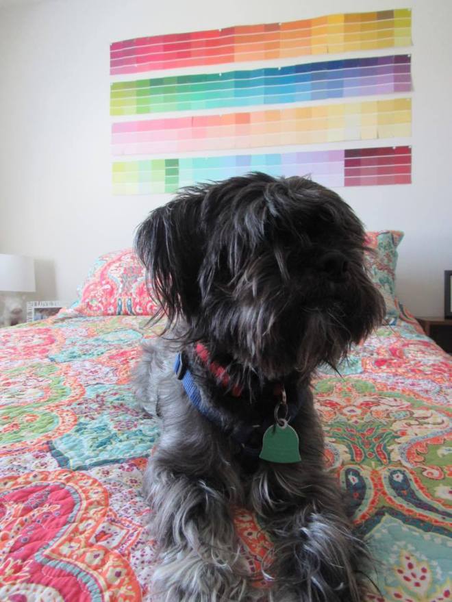 19866859_10156451531738065_173082212_o