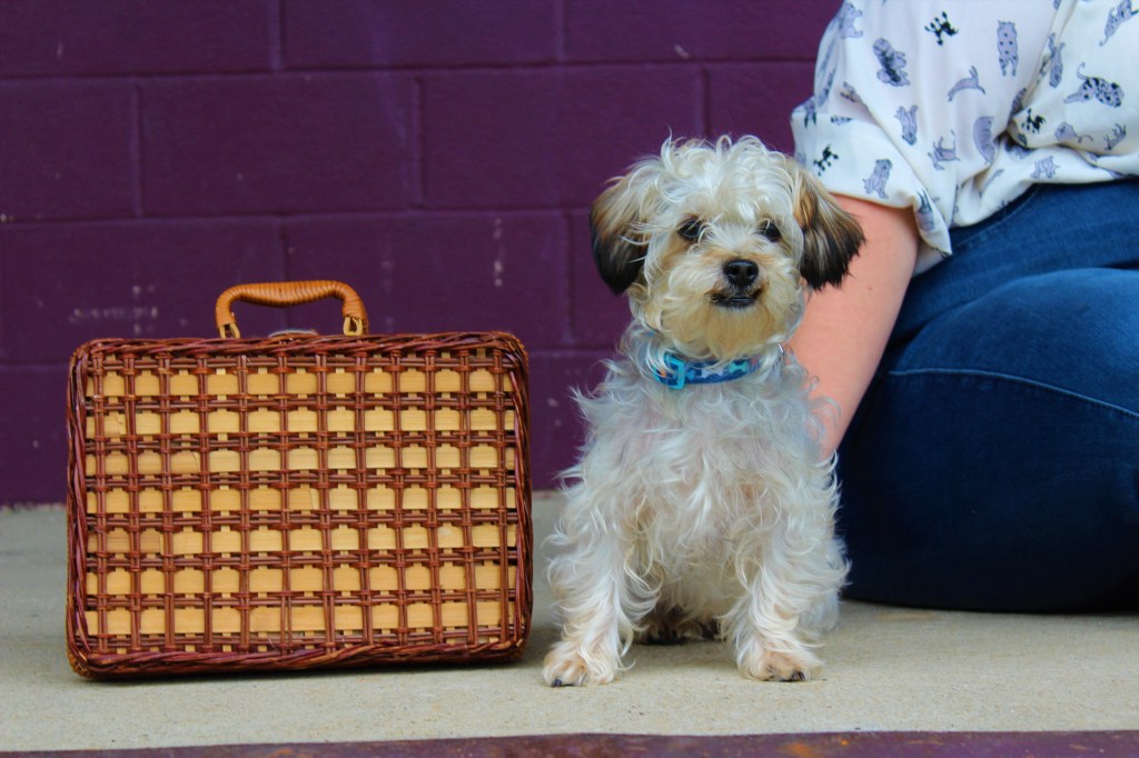 Introducing Charlie Darling