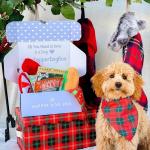 46513271_1986893451614178_643915451365064704_n