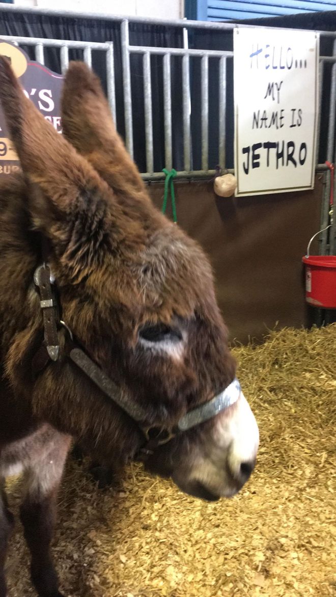 49797549_767720396936081_8272055240560214016_n