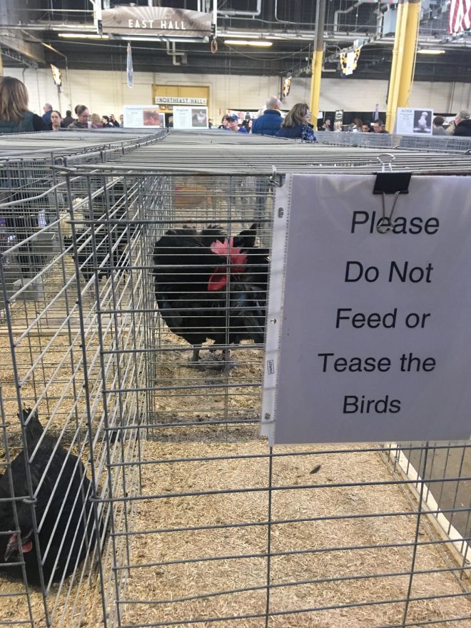 50192619_2204440083109875_4951619356917235712_n-1