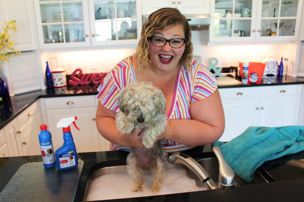 Splish Splash: Charlie Got a Flea & Tick&nbsp;Bath