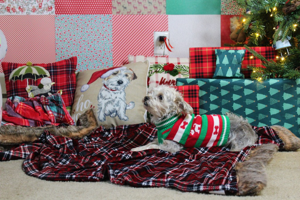 Holiday Gift Guide with Tuesday&nbsp;Morning